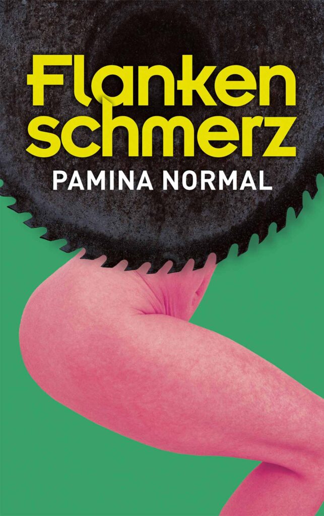 Cover des Buches Flankenschmerz von Pamina Normal